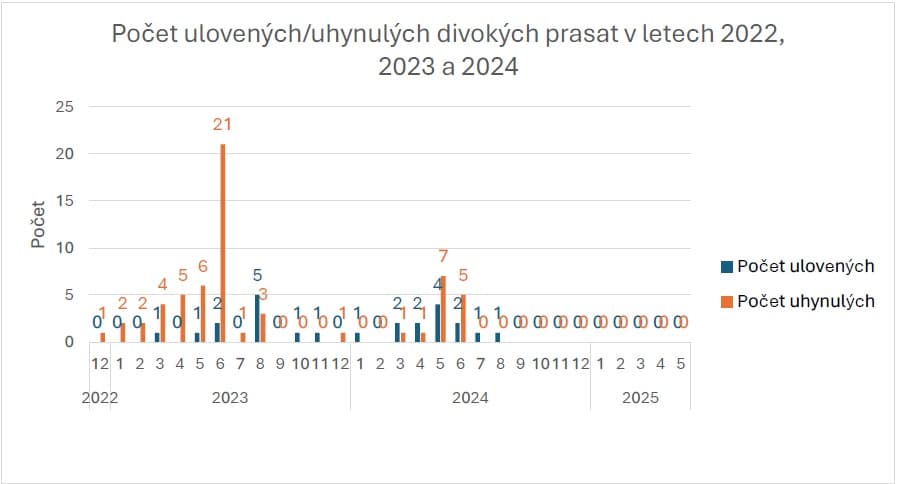 2025-05-28-3.jpg